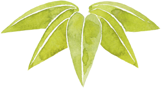 「日々、祝ぐ」ギフト・インテリアショップ cotohogu《ことほぐ》とは